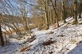 Priestfield Lake, Rossmore Forest Park